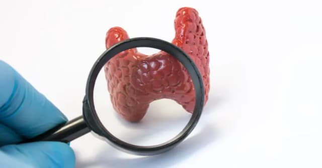 Jakie badanie z krwi na tarczycę? Kluczowe testy dla zdrowia tarczycy Jakie badanie z krwi na tarczycę? Kluczowe testy dla zdrowia tarczycy